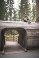 Young Man over Tunnel Wall Decal