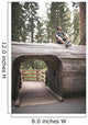 Young Man over Tunnel Wall Decal