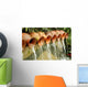 Water Pots Fountain Wall Decal