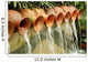 Water Pots Fountain Wall Decal