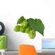 Hops Wall Decal