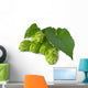 Hops Wall Decal