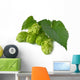 Hops Wall Decal