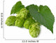 Hops Wall Decal