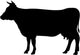 Black Cow Silhouette Wall Decal