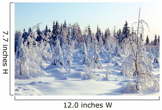 Winter Wall Decal