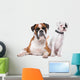 Brown Boxer Dog and White Puppy Wall Decal