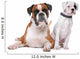 Brown Boxer Dog and White Puppy Wall Decal