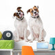 Two American Bulldogs Wall Decal