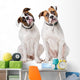 Two American Bulldogs Wall Decal