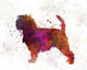 Affenpinscher 01 Watercolor Wall Decal