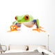 Frog Walking Closeup White Wall Decal