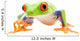 Frog Walking Closeup White Wall Decal