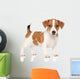 Jack Russell Puppy White Wall Decal