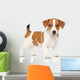 Jack Russell Puppy White Wall Decal