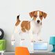 Jack Russell Puppy White Wall Decal