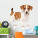 Jack Russell Puppy White Wall Decal