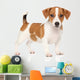 Jack Russell Puppy White Wall Decal