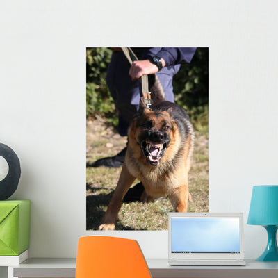 Angry Police Dog Baring Wall Decal shown on a wall