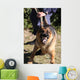 Angry Police Dog Baring Wall Decal