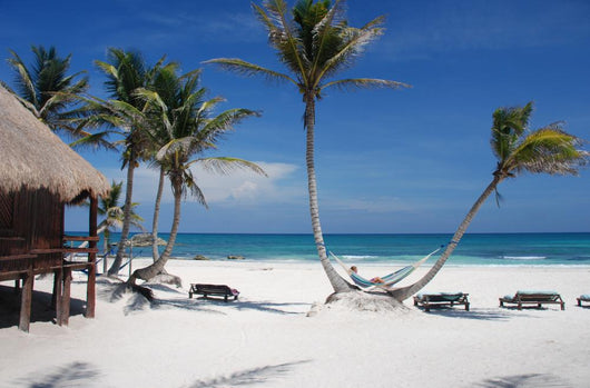 Tropical Beach Wall Decal