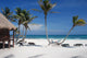 Tropical Beach Wall Decal
