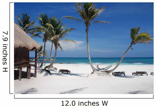 Tropical Beach Wall Decal