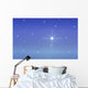 Night Sky Wall Decal