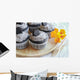 Homemade Dark Chocolate Cupcakes Wall Decal