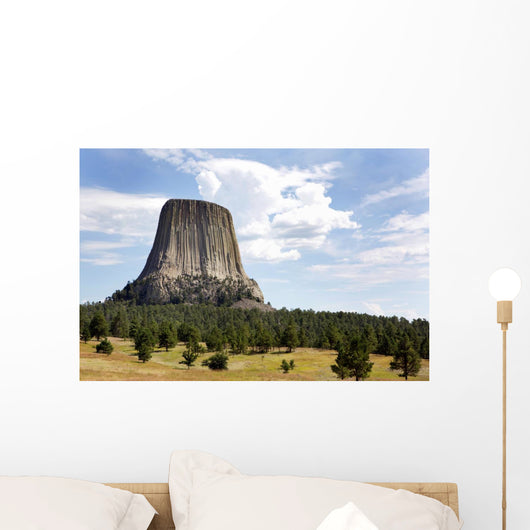 Devils Tower National Monument Wall Decal