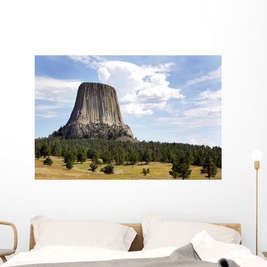 Devils Tower National Monument Wall Decal