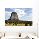 Devils Tower National Monument Wall Decal
