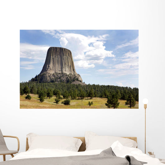 Devils Tower National Monument Wall Decal