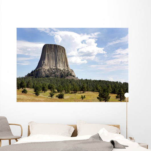 Devils Tower National Monument Wall Decal
