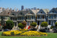 Painted Ladies Wall Decal