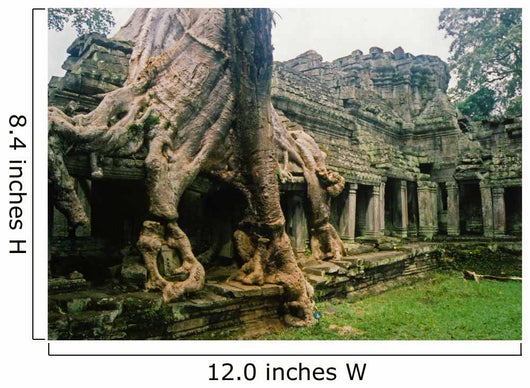 Angkor Wat Jungle City Wall Decal