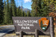 Yellowstone National Park Entrance Wall Decal
