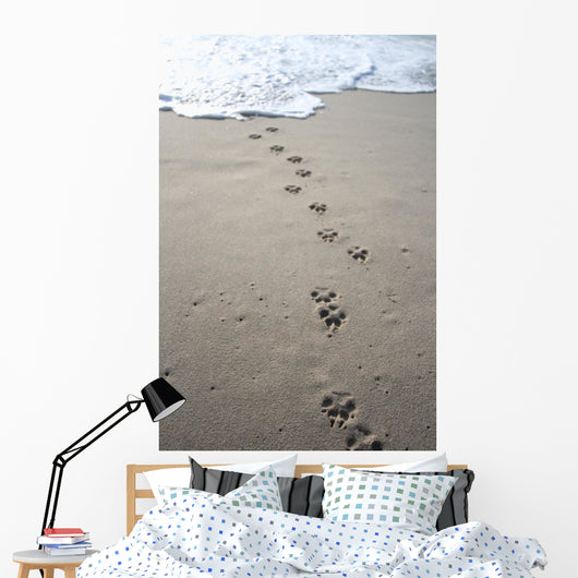 Out Water Wall Decal