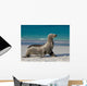 Sea Lion Beach Sitting Wall Decal