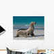Sea Lion Beach Sitting Wall Decal