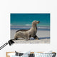 Sea Lion Beach Sitting Wall Decal
