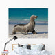 Sea Lion Beach Sitting Wall Decal