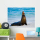 Sea Lion Beach Sitting Wall Decal
