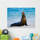 Sea Lion Beach Sitting Wall Decal