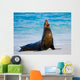 Sea Lion Beach Sitting Wall Decal