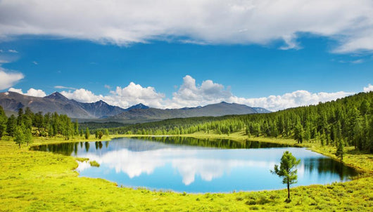 Mountain Landscape with Beautiful Wall Decal