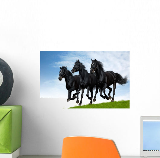 Three Black Horses Gallops Wall Decal