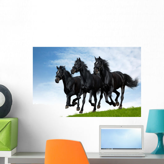 Three Black Horses Gallops Wall Decal