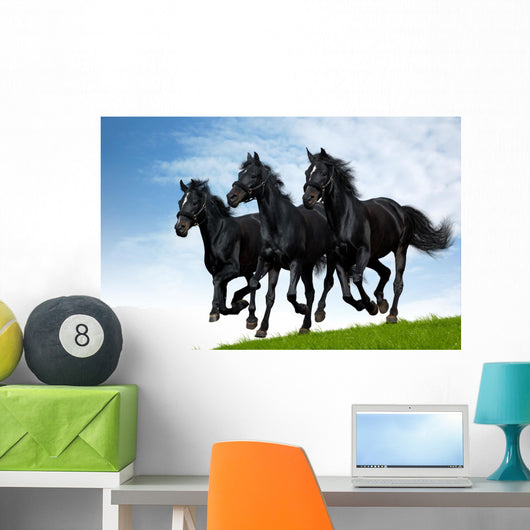 Three Black Horses Gallops Wall Decal