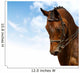 Dressage Equestrian Sport Wall Decal Design 2